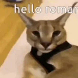 🖐