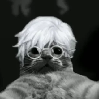 😎