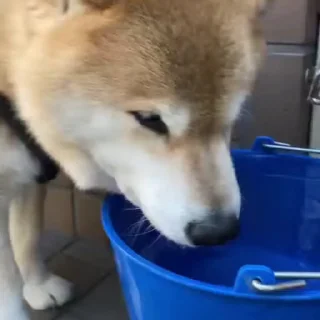 🥂