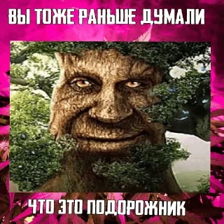 😄