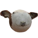 🌝