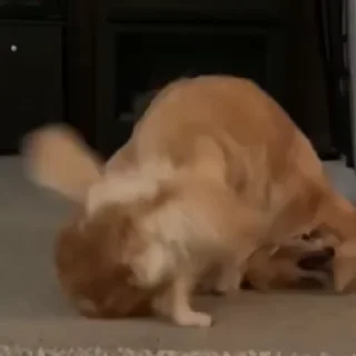 👊