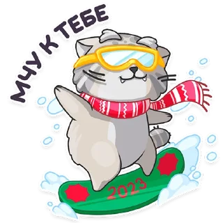 🏂