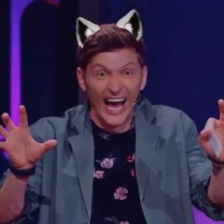 🙀