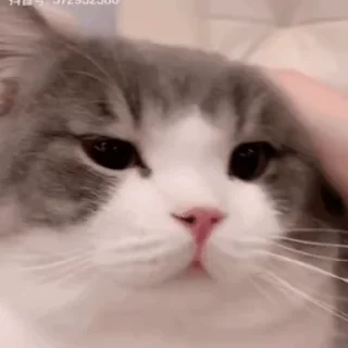 😩