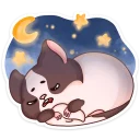 😴