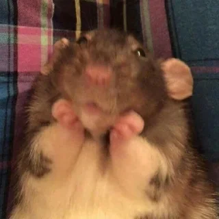 😍