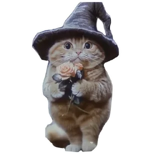 🐱