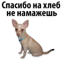 😂