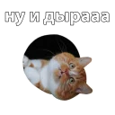 😮