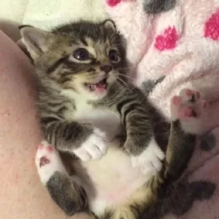 😳