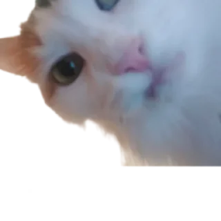 😏