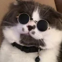 😎