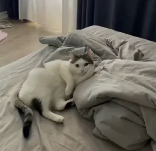 🤨