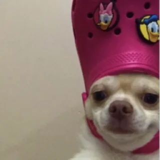 🤗