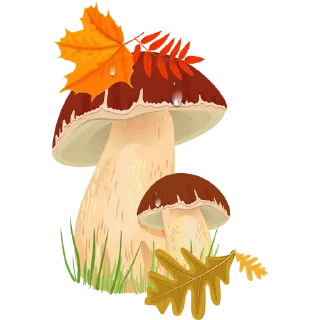 🍄