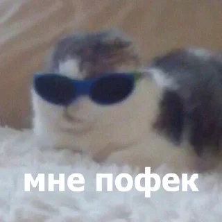 🤓