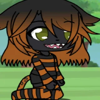🐅