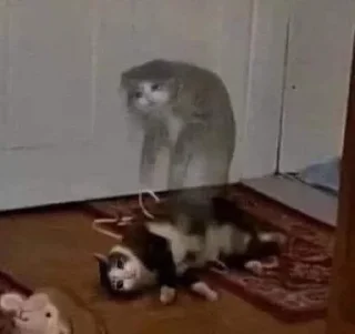 😨