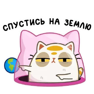🌎