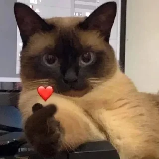 ❤️