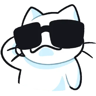 😎