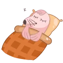 😴