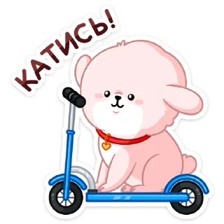 🛴
