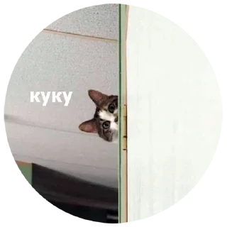 😺