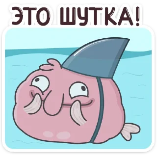 🦈