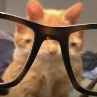 🤓
