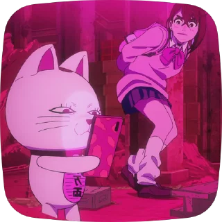 😼