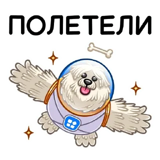 🧑‍🚀