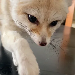 🙃