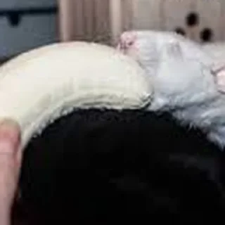 🍌