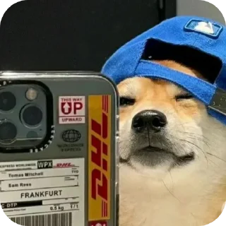 🖼
