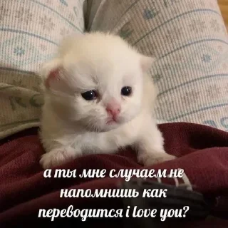 ❤️