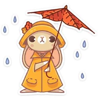 ☔️
