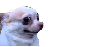 😨