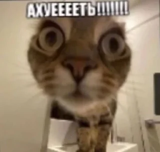 😨