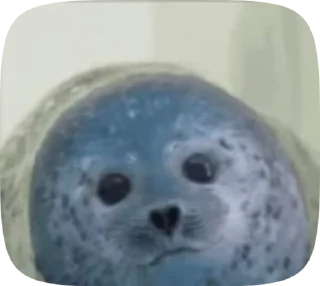 👋