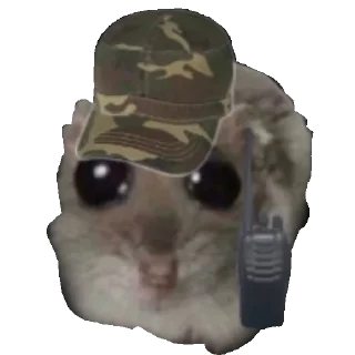 🧂