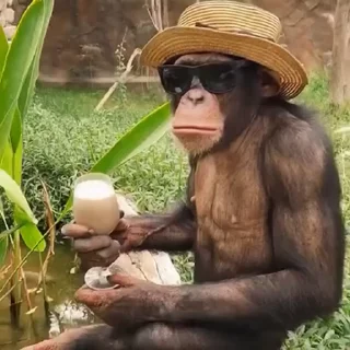 🍹