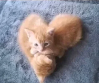 ❤