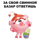 🐷