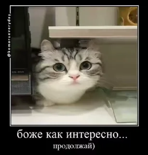 😮