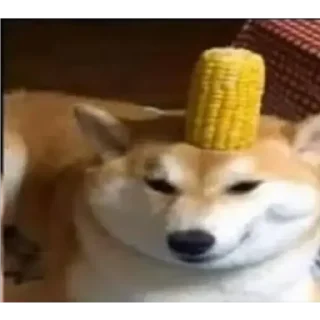 😶