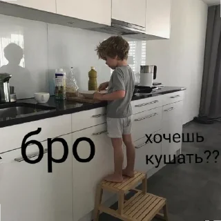 🥪