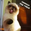 😝
