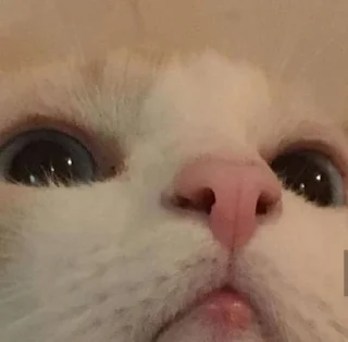 👀